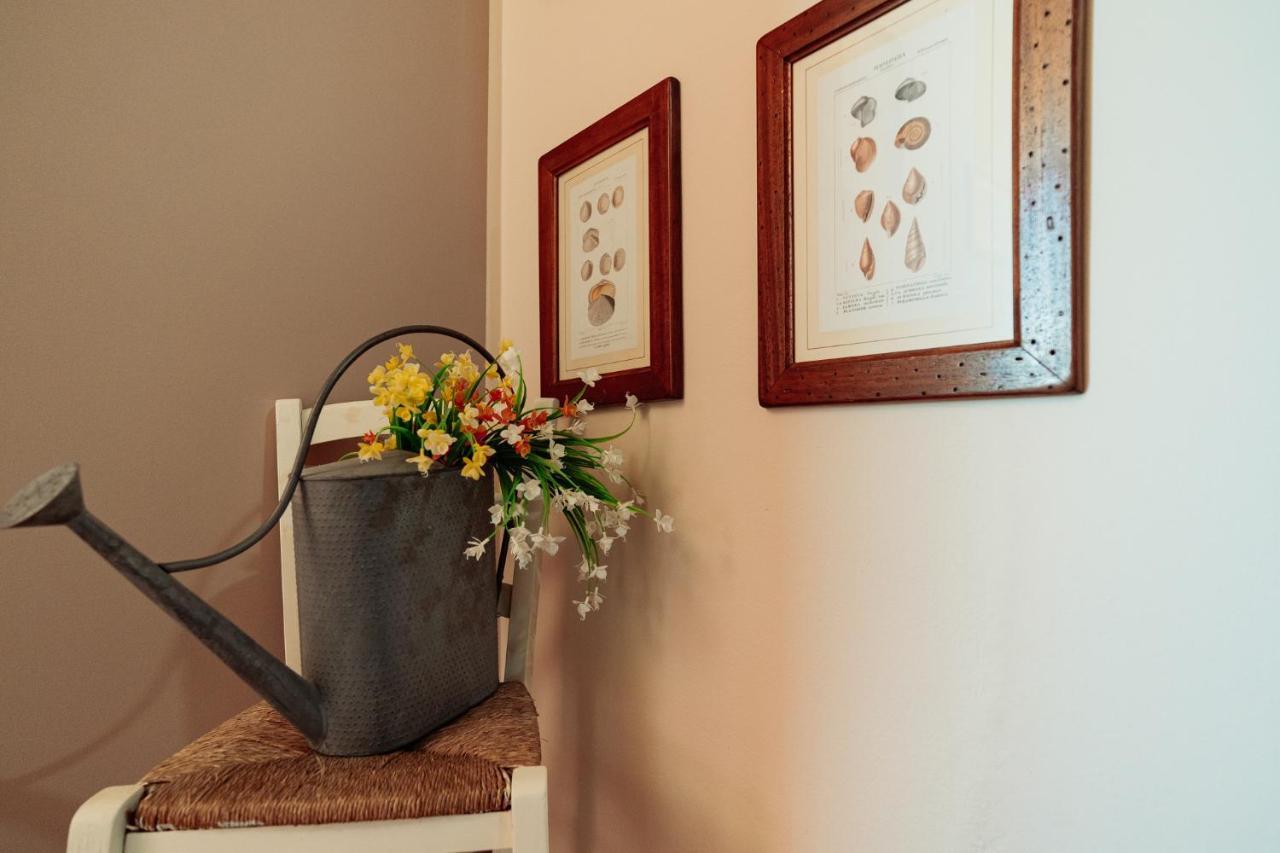 Country house Il Pozzo Collescipoli