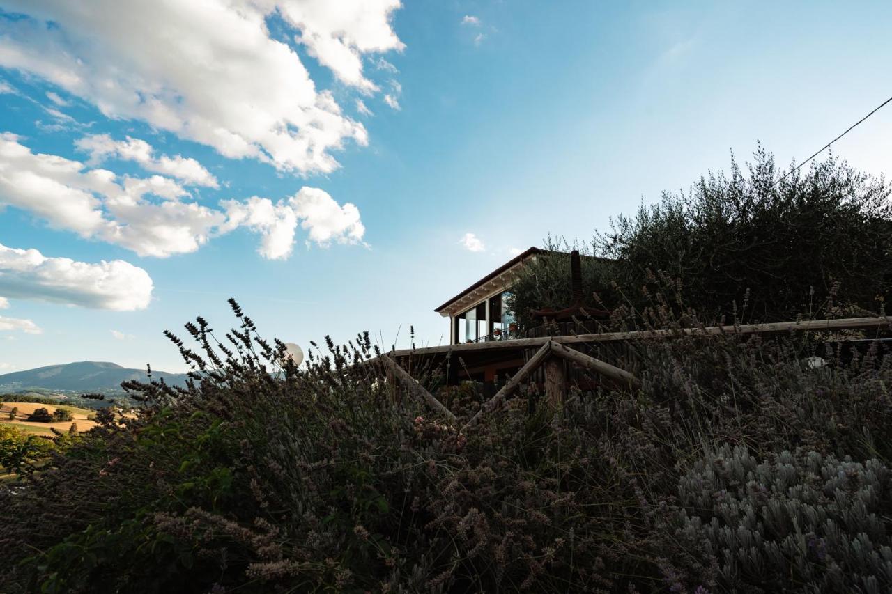 Il Pozzo Country house