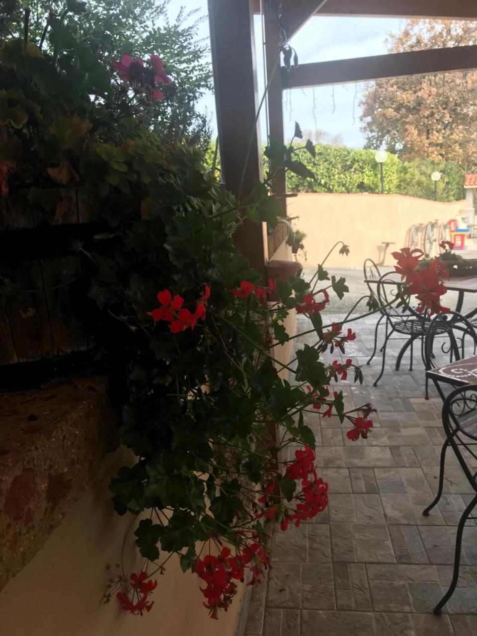 Country house Il Pozzo *