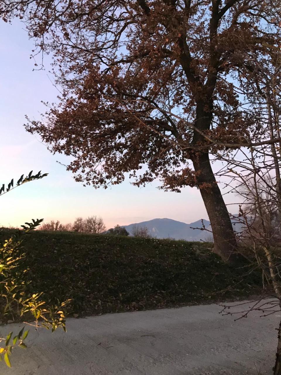 Country house Il Pozzo Collescipoli